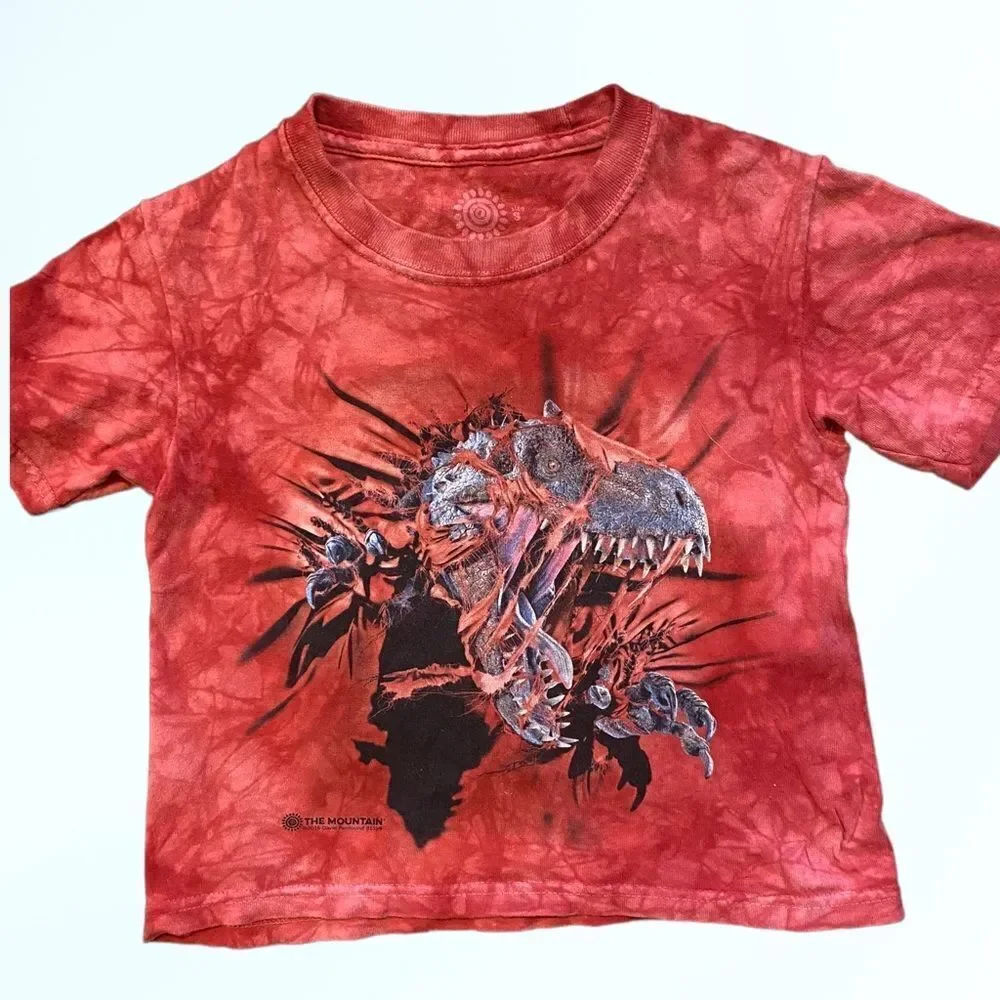Kids The Mountain (S) Tyrannosaurus Rex Graphic T-Shirt